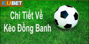 Một Số Lưu Ý Khi Bắt Kèo Đồng Banh