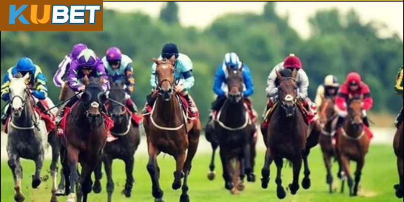 Bí quyết tăng tỷ lệ thắng khi chơi đua ngựa Kubet