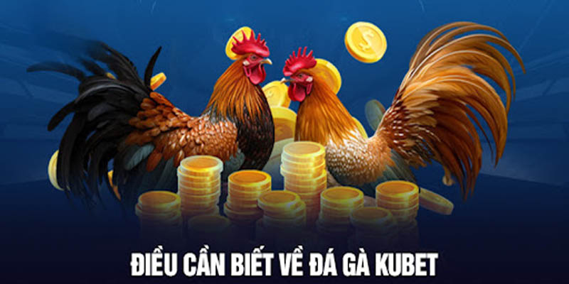 Sảnh đá gà online đem lại vô vàn hình thức và giải đấu hấp dẫn